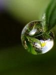 pic for Water Drop